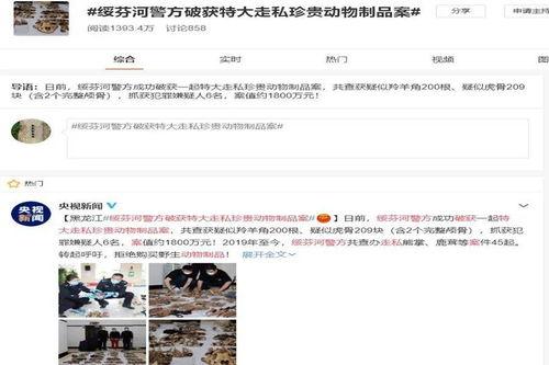 绥芬河媒体爆料最新消息,媒体披露惊人内幕，事件真相令人震惊！